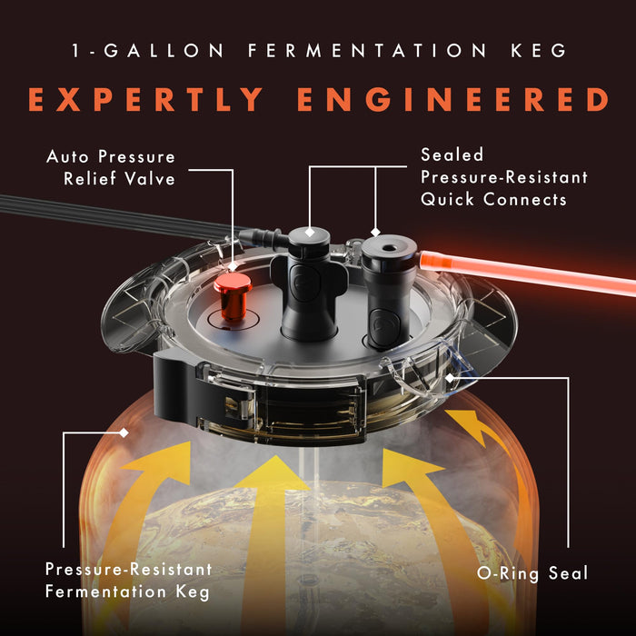 iGulu S1 All-In-One Automated Home Craft Beer Brewer with CO₂ Cylinder Adapter