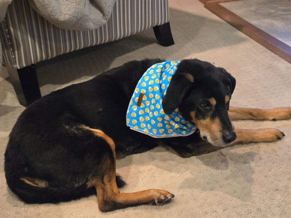 MR. CHUBBYFACE Blue Beer Dog Bandanas Reversible Triangle Bibs Scarf Accessories for Dogs Cats Pets
