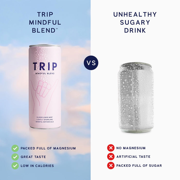 TRIP Mindful Blend, Lightly Sparkling Adaptogen Seltzer, Non-Alcoholic Mocktail with Magnesium, Ashwagandha, Lions Mane & L Theanine, No Added Sugar, Vegan, Original Variety Pack, 12 Oz, 12Pk