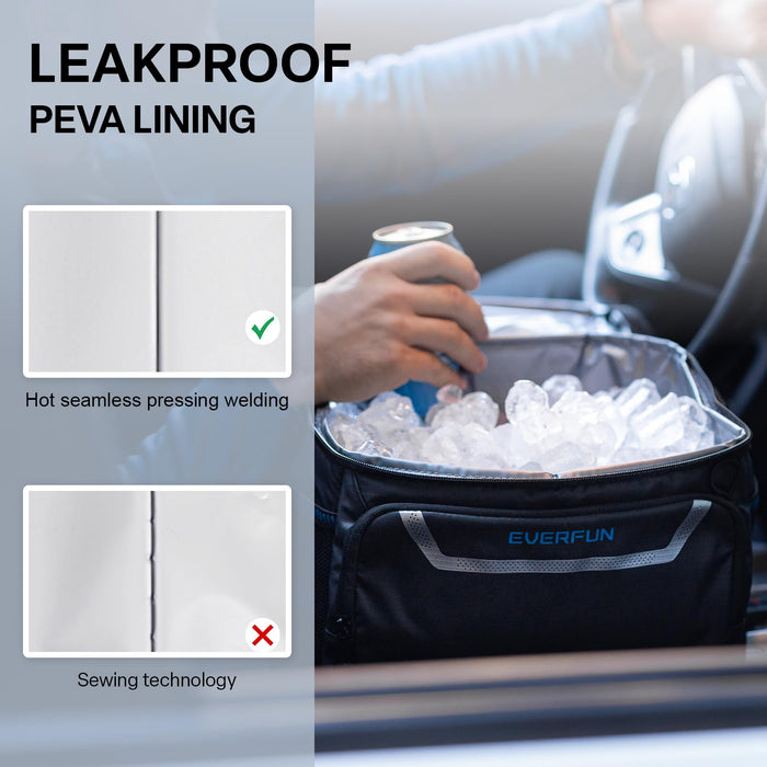 EVERFUN Small Cooler Lunch Box Mini Leak-Proof Soft Double Deck 24 Can Personal Insulated Collapsible Portable Waterproof Lunch Bag Ice Chest for Men Women Work Travel Car Picnic Beach, Black