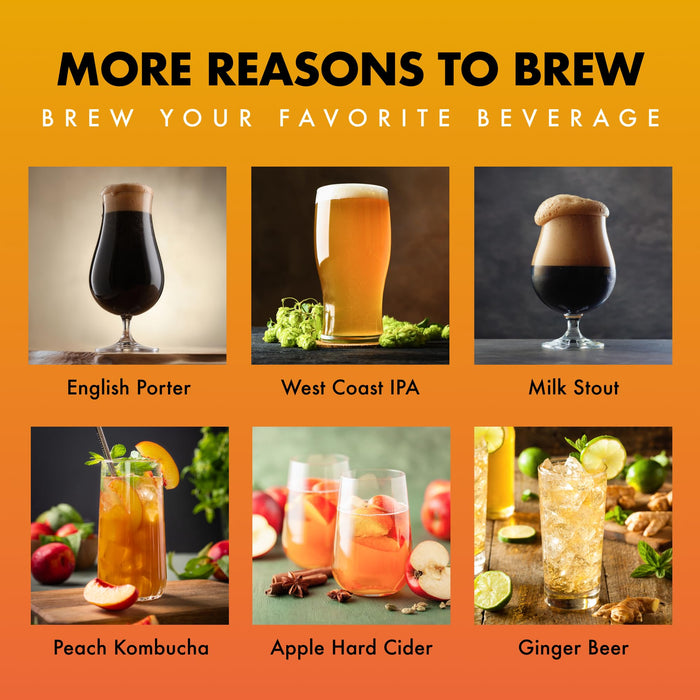 iGulu S1 All-In-One Automated Home Craft Beer Brewer with CO₂ Cylinder Adapter