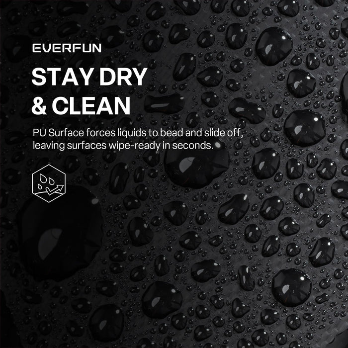 EVERFUN Small Cooler Lunch Box Mini Leak-Proof Soft Double Deck 24 Can Personal Insulated Collapsible Portable Waterproof Lunch Bag Ice Chest for Men Women Work Travel Car Picnic Beach, Black