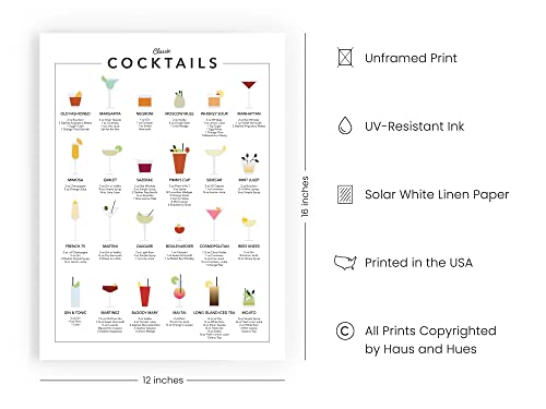 Cocktail Mixology Wall Art Print for Bar - by Haus and Hues | Alcohol Bar Themed Kitchen Home, Office Apartment Wall Decor Home Bar Accessories, Bar Cart Decor Cocktail Poster, UNFRAMED 12" x 16"