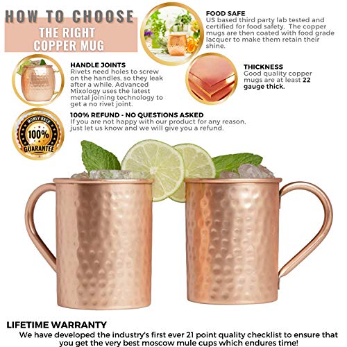 [Gift Set] Advanced Mixology Moscow Mule Mugs Set of 2 (16oz) | 100% Copper Mugs Set w/ 2 Straws, 2 Wooden Coasters & 1 Shot Glass | Tarnish-Resistant Food Grade Lacquer Coat - The Beer Connoisseur® Store